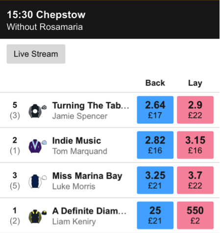 Betfair Exchange Chepstow Without Rosemaria