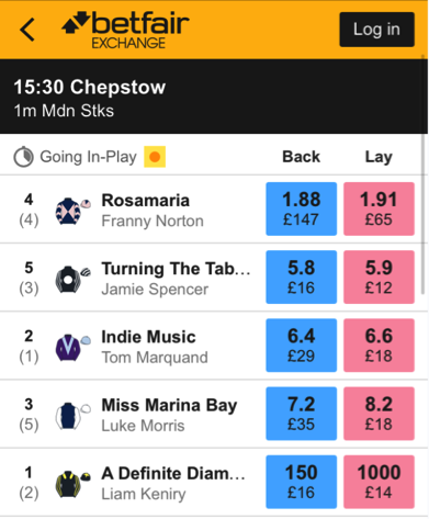 Betfair Exchange Chepstow