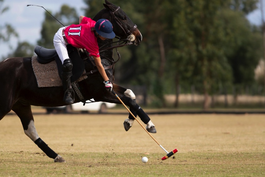 Polo player on horse