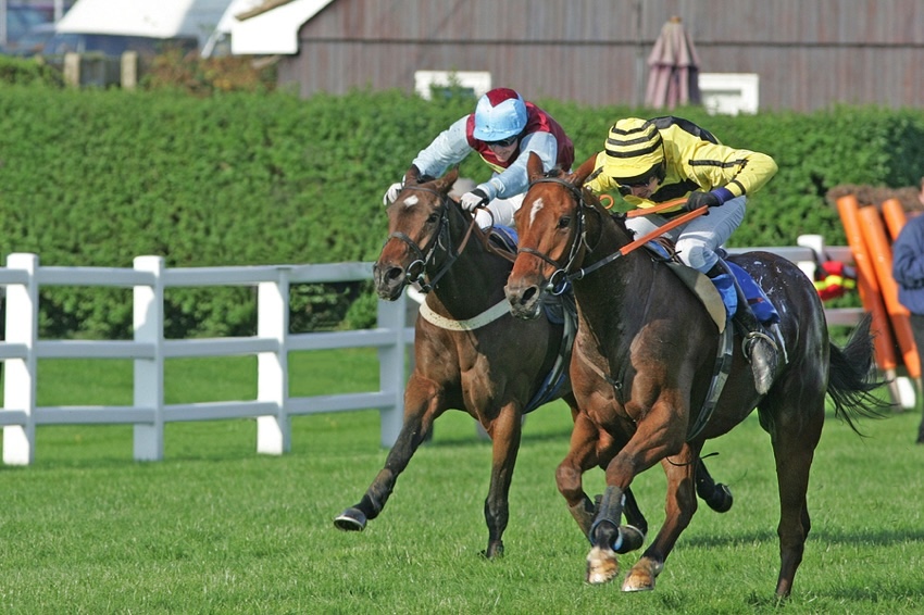 The final crunch horse racing