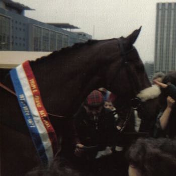 Red Rum